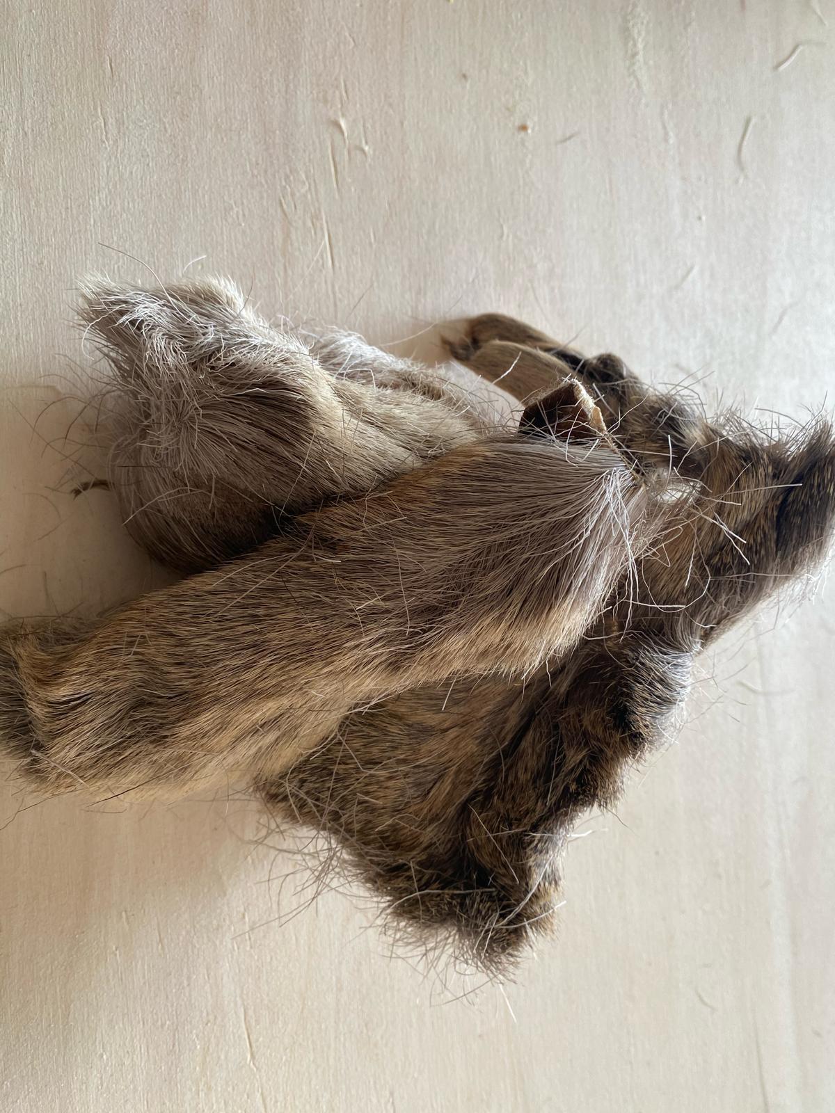 Piel de Ciervo con pelo